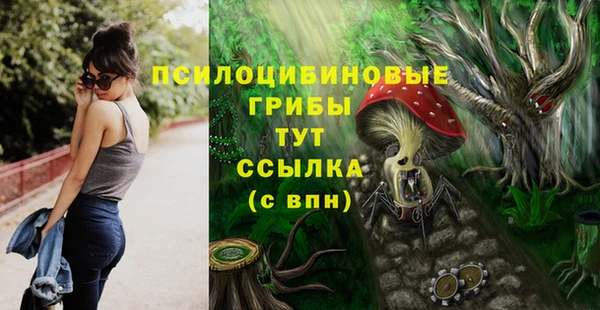 трава Баксан
