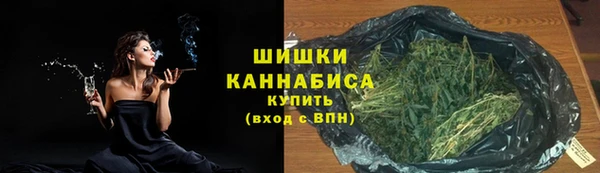 тгк Богданович
