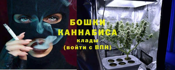 тгк Богданович