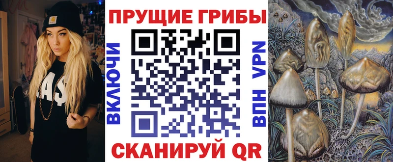 Галлюциногенные грибы Psilocybe Гаврилов-Ям