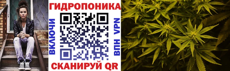 дарнет шоп  Гаврилов-Ям  Бошки Шишки марихуана 